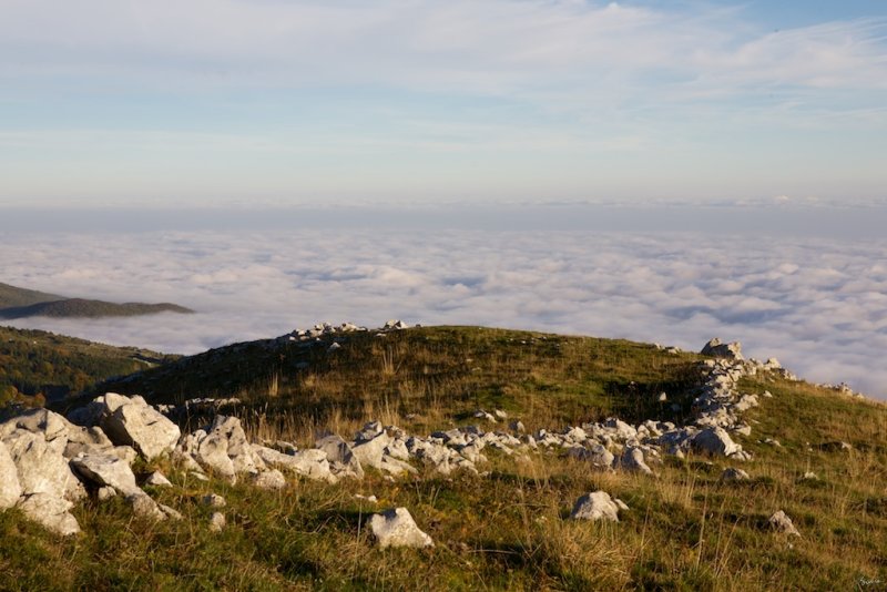 Monte Pizzoc