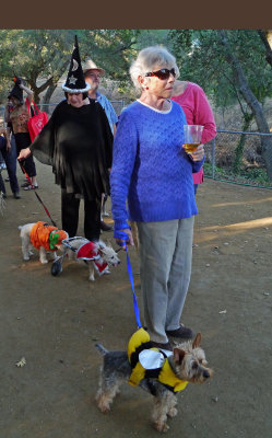 DogParkPet and People1.jpg