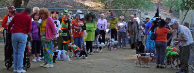Halloween costume dogs_pre-parade.jpg