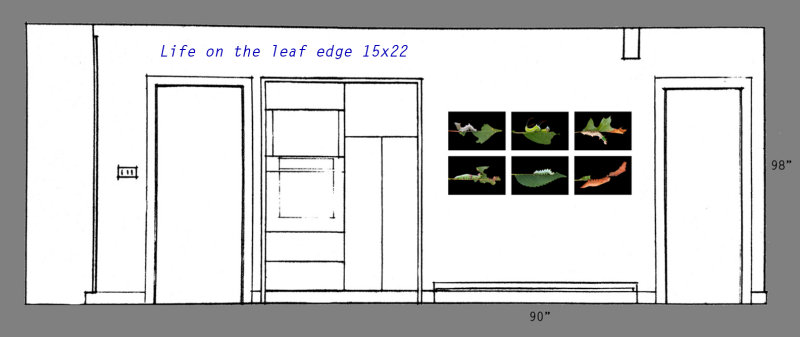 Life on the Leaf Edge series at 15x22