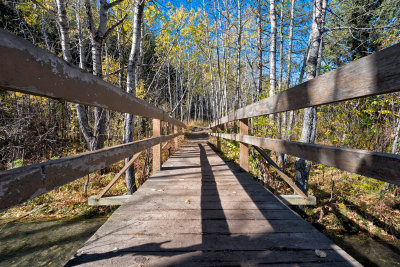 Trail Bridge