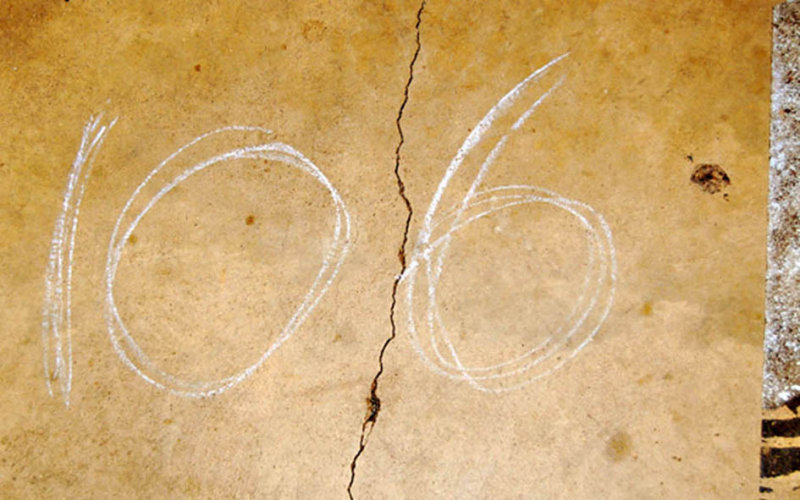 106 *