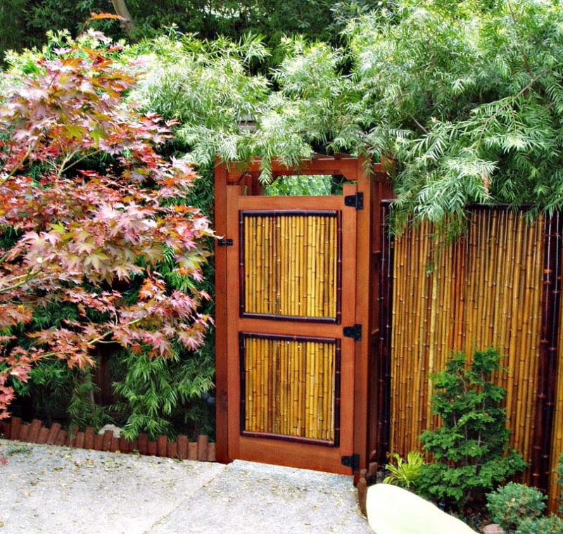 Cosio Fence and Gate