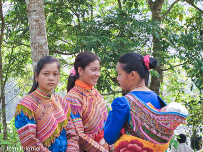 Hmong fleurie