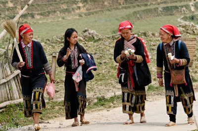 Hmong Dao