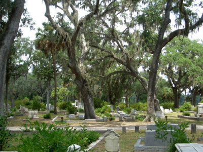 A beautiful resting place