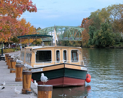 Schoen Place Revisited
