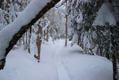 1932 Bobsled track 2