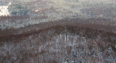 View from Mt Van Ho 11