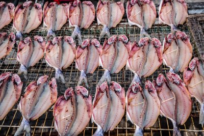 Salted Fish