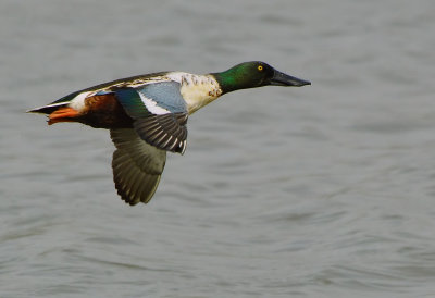 DSC_2760aAa.jpg