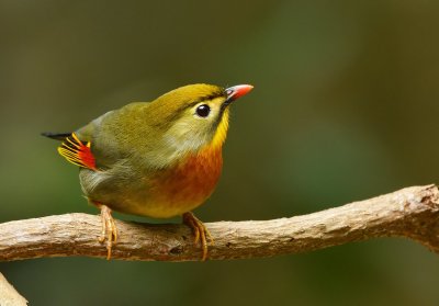 DSC_0382aaa.jpg
