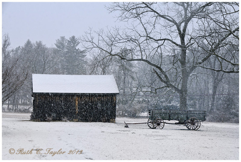 Spring Snow in Solebury