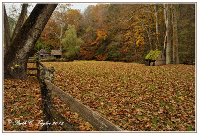 Autumn Colors at Cuttalossa Farm