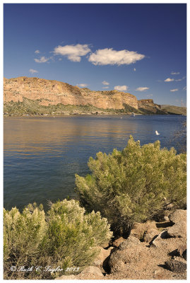 Saguaro Lake