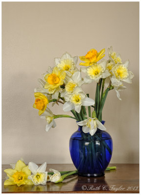 20130415_038_Daffodil copy.jpg