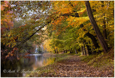 Autumn Light Along the Delaware Canal