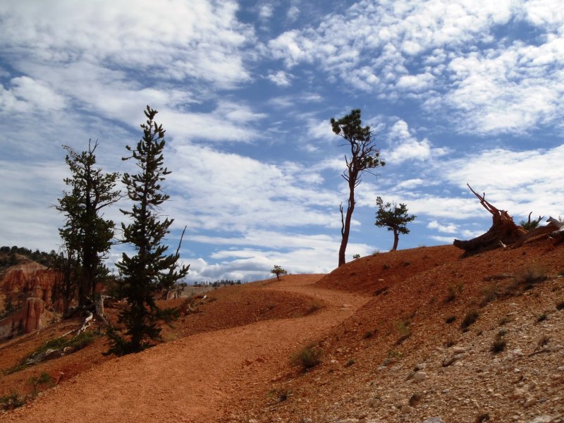 Winding path