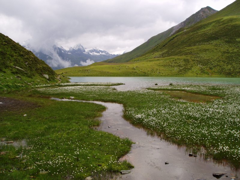 Alpine valley view