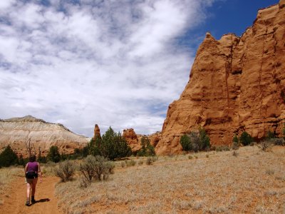 Panorama Trail 