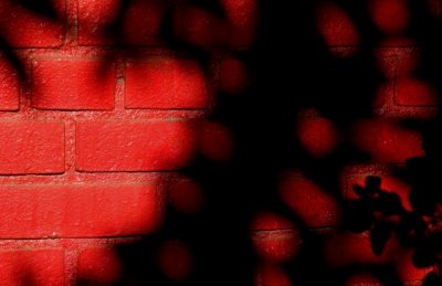 Shadows
