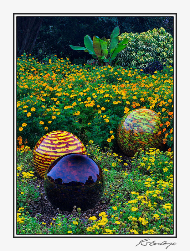 IMG_6361-Niijima Floats.jpg
