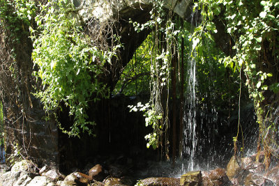 20130427-north 138.jpg