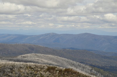 Distant view of Dinner Plain L and Mt Hotham R.jpg