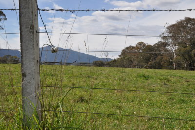 Near Tom Groggin Station.JPG