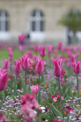 Jardin du Luxembourg
