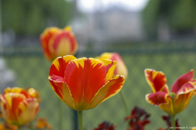 Jardin du Luxembourg