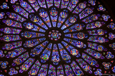 Notre Dame Window