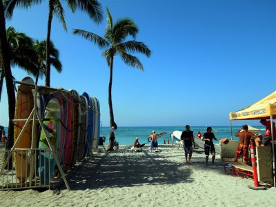 Waikiki Beach - rent a surfboard and your ready