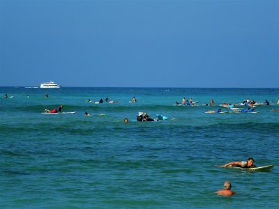 Everyone wants to surf