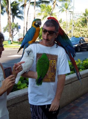 The Bird Man of Waikiki