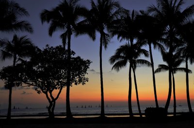 Sunset Regatta off Waikiki Beach