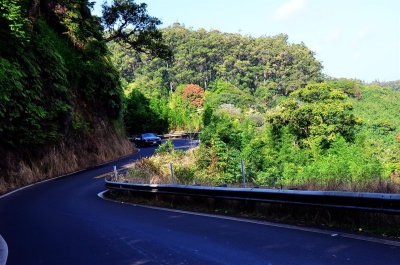 Hana Highway's winding road