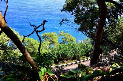 Steep dropoff along the Hana Hwy.