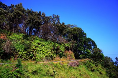 The Hana Highway