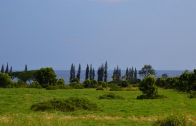 Oprah's undeveloped property overlooking the Pacific near Hana.