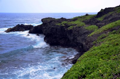 Rugged lava coast