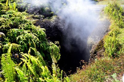 Kilauea steam Vent in Valcanos National Park