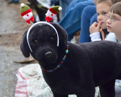 Boykin Christmas Parade