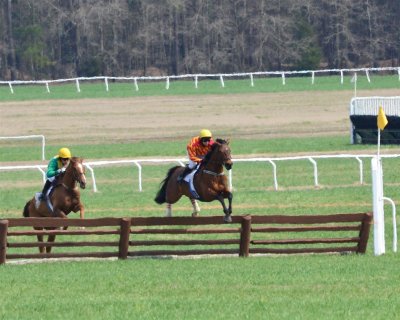 Clearing the timber hurdle