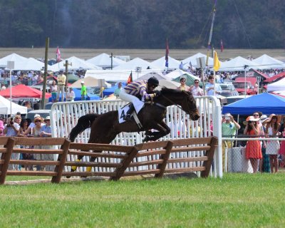 Clearing the timber hurdle