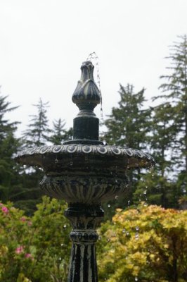 Color Water Drops
