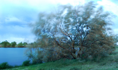 Windblown - Approaching storm