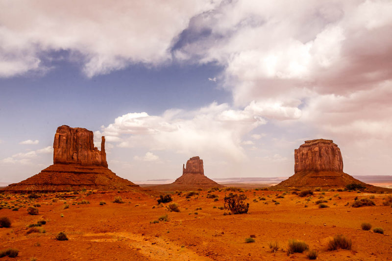 _MG_7298.JPG