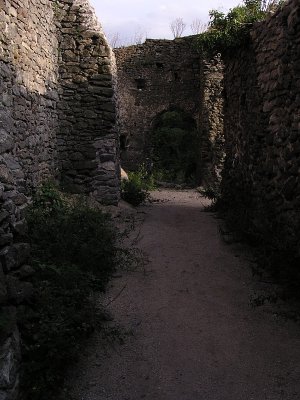 P8200031.JPG