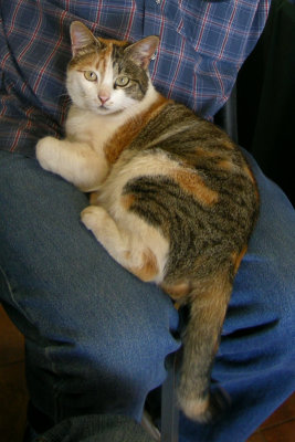 DSCN0343.jpg